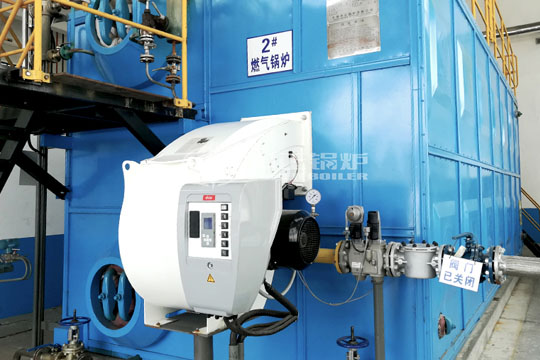 江蘇省蘇州市25噸SZS系列天燃氣蒸汽鍋爐項目