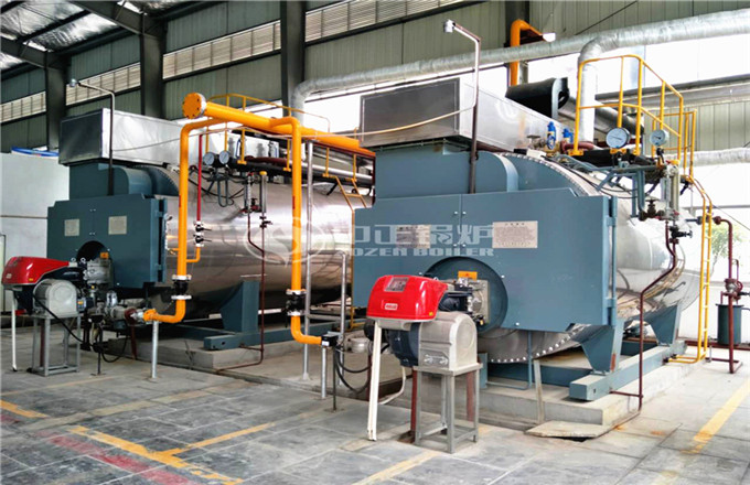 江西省宜春市6噸燃?xì)庹羝仩t項(xiàng)目