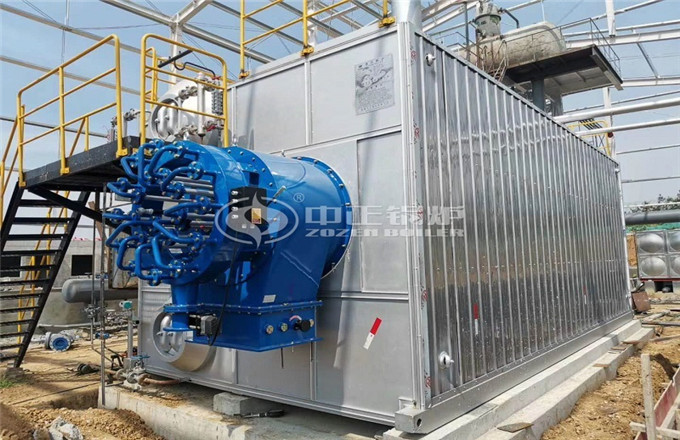 山東省煙臺市20噸燃氣蒸汽鍋爐項目